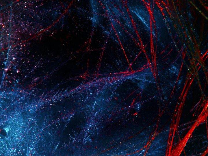 colorful contemporary digital artwork